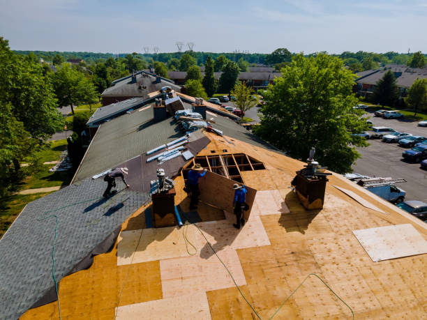 Best Flat Roof Repair Services  in Lansing, IL