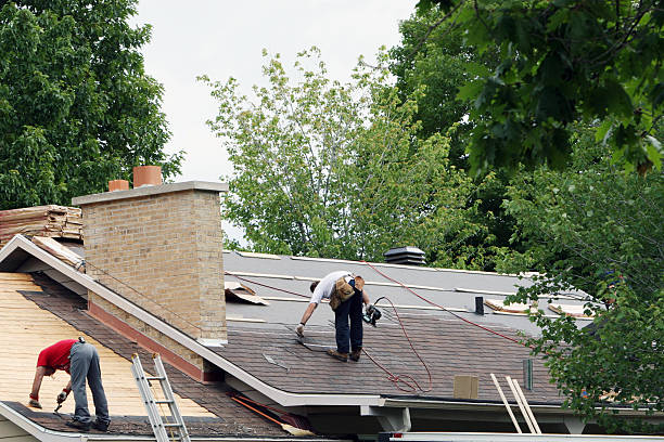 Best Gutter Installation and Roofing  in Lansing, IL