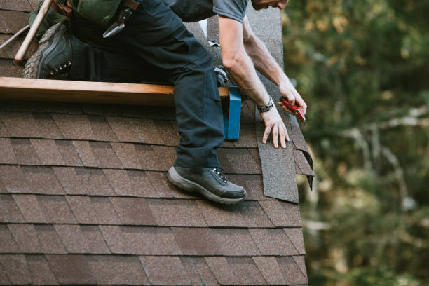 Best Metal Roofing Contractor  in Lansing, IL