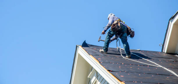 Best Roofing Contractor Near Me  in Lansing, IL